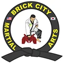 Brick City Martial Arts academy logo