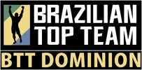 BTT Dominion academy logo