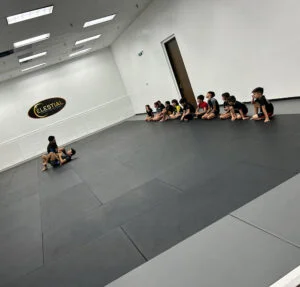 Celestial Grappling Academy facility image