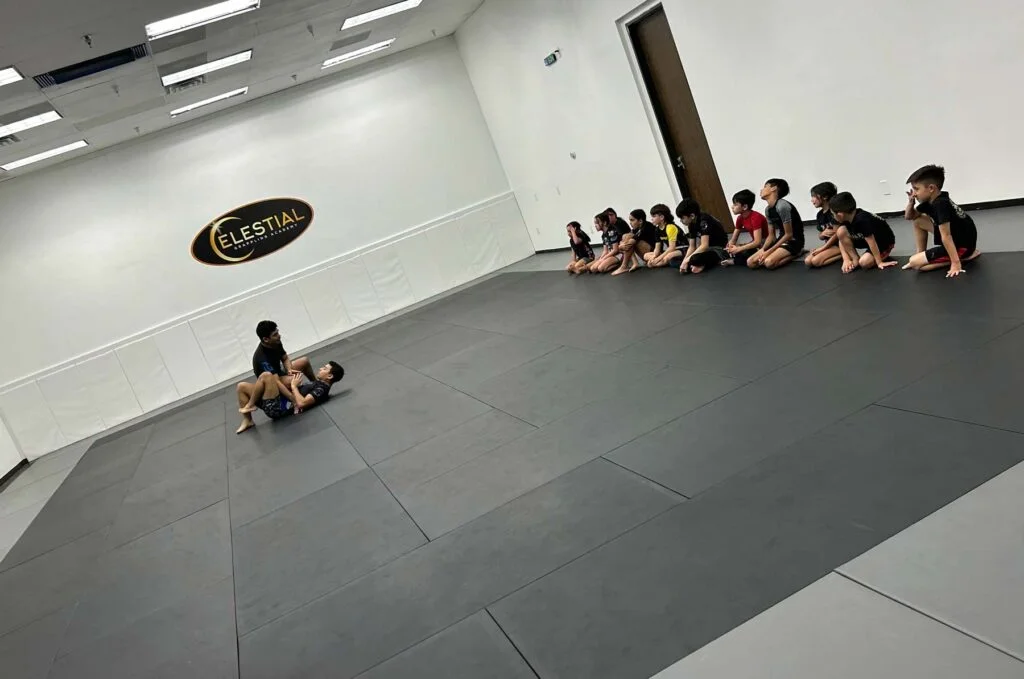 Celestial Grappling Academy facility image