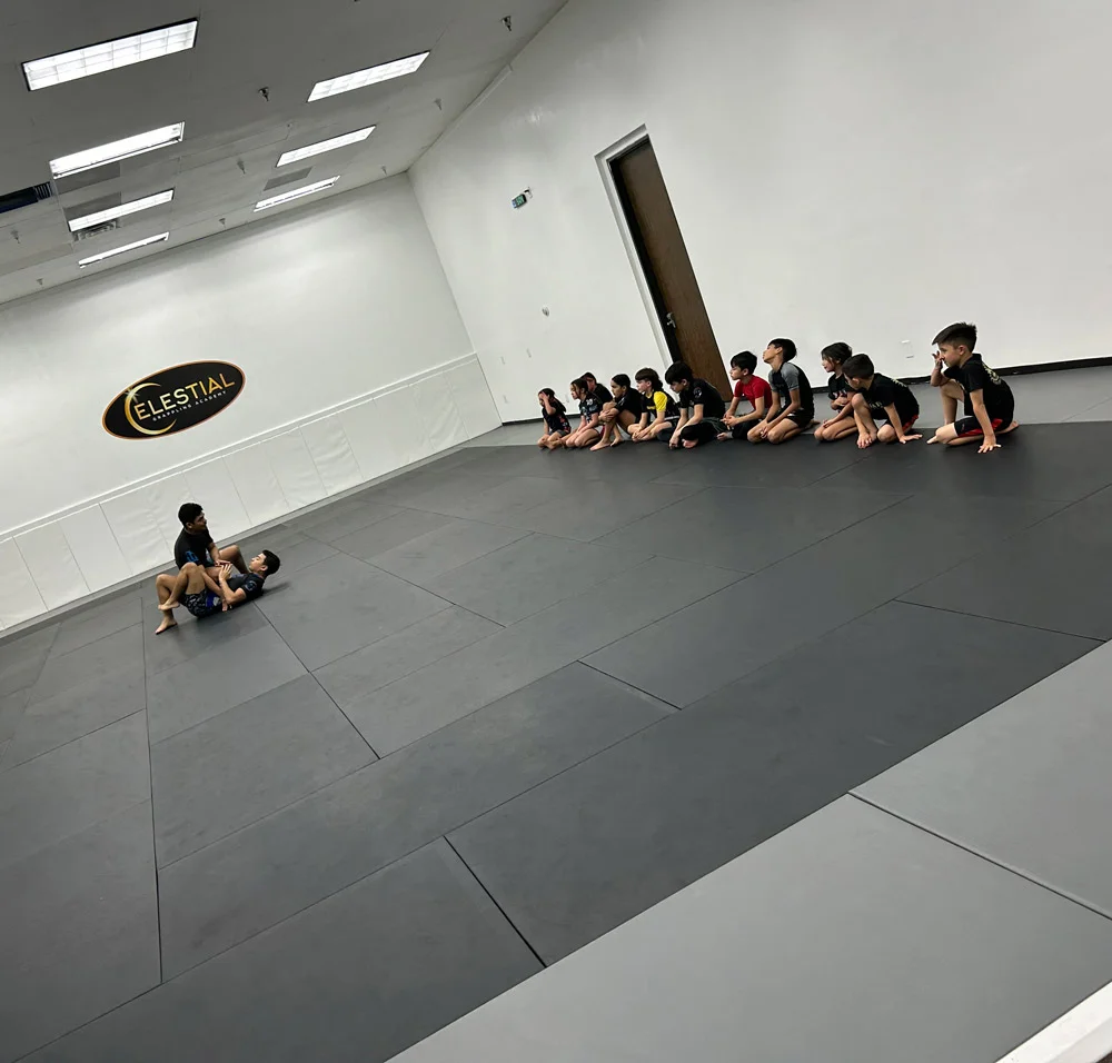 Celestial Grappling Academy facility image