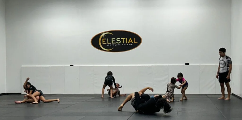 Celestial Grappling Academy facility image