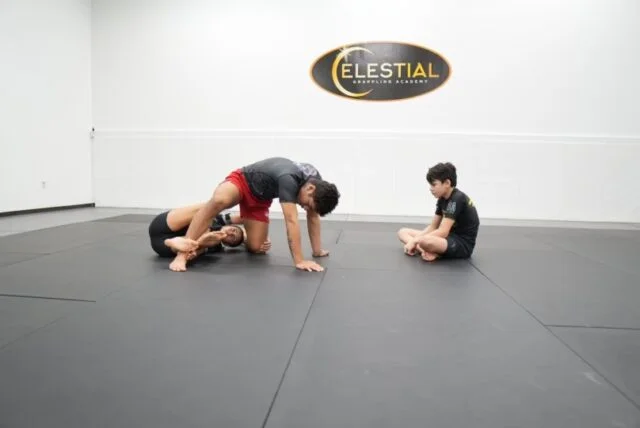 Celestial Grappling Academy facility image