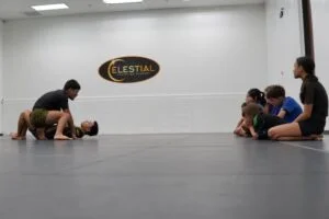 Celestial Grappling Academy facility image