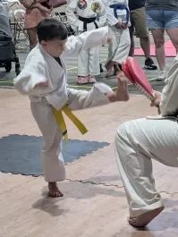 Chayon-Ryu Baytown facility image