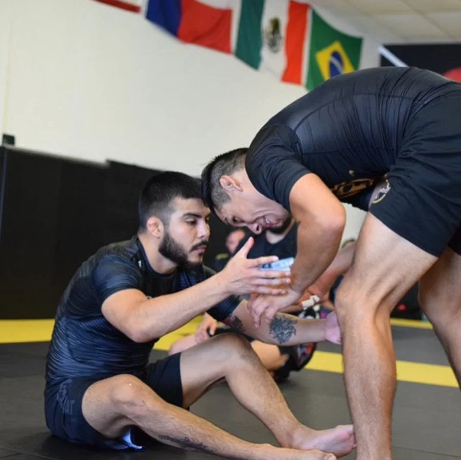 Checkmat South Texas visual