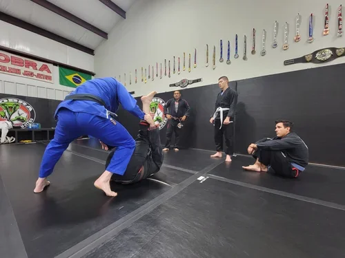 Cobra Brazilian Jiu Jitsu Mansfield facility image