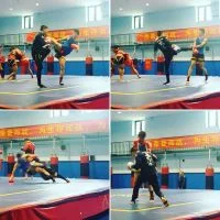 Combat Sports Academy facility image
