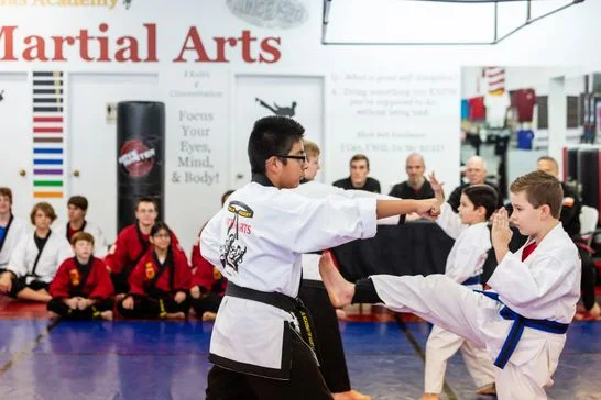 Dallas Academy of Martial Arts facility image
