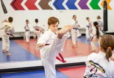 Dallas Academy of Martial Arts facility image