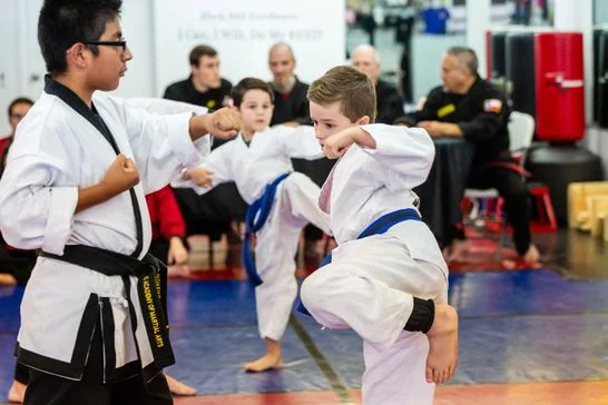Dallas Academy of Martial Arts facility image