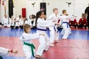 Dallas Academy of Martial Arts facility image