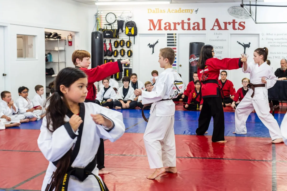 Dallas Academy of Martial Arts facility image