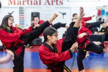 Dallas Academy of Martial Arts facility image