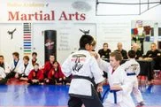 Dallas Academy of Martial Arts facility image