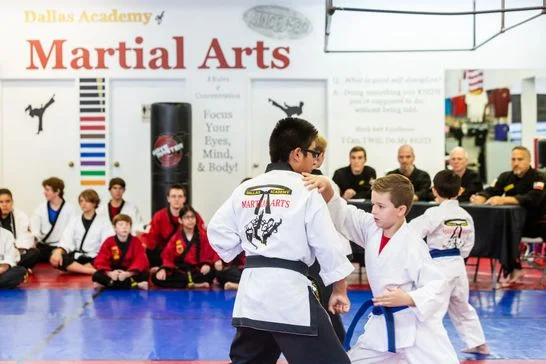 Dallas Academy of Martial Arts facility image