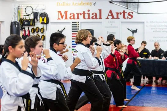 Dallas Academy of Martial Arts facility image