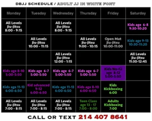 Diamondback Jiu-Jitsu facility image