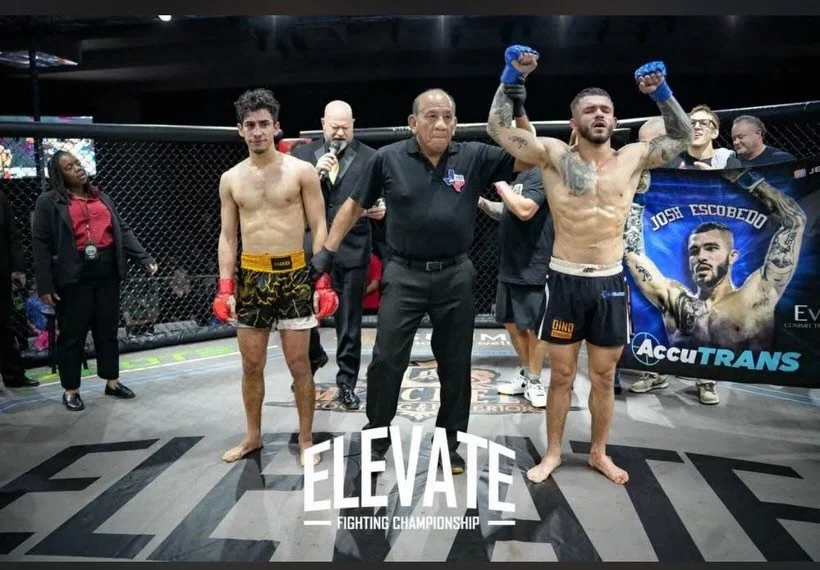 Dino Jiu Jitsu academy photo