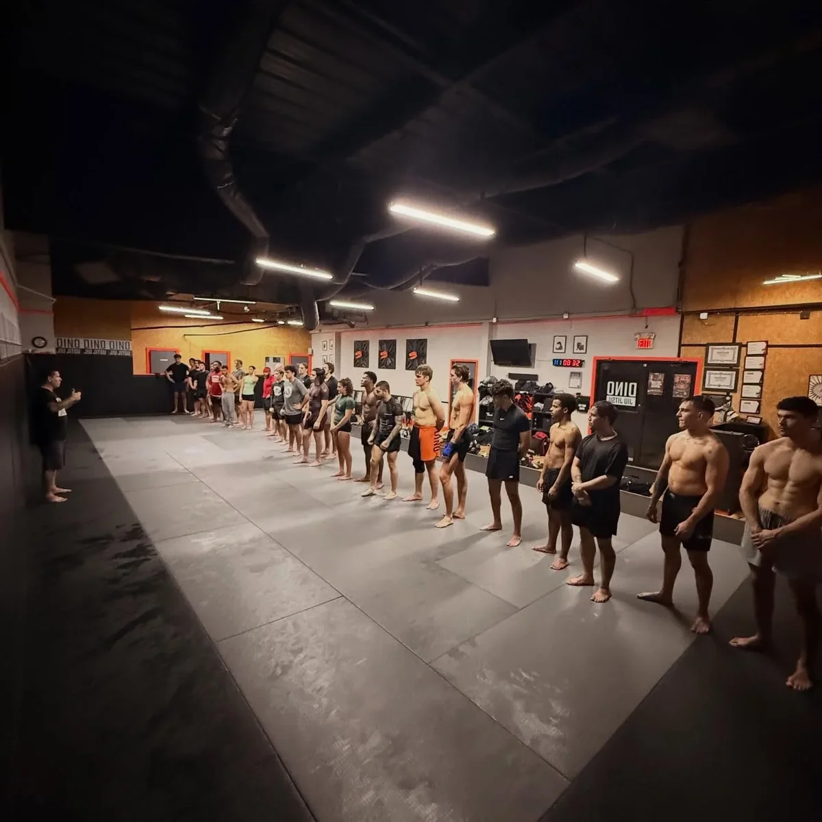 Dino Jiu Jitsu academy photo
