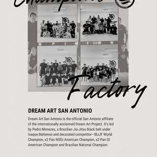 Dream Art Brazilian Jiu Jitsu Academy facility image