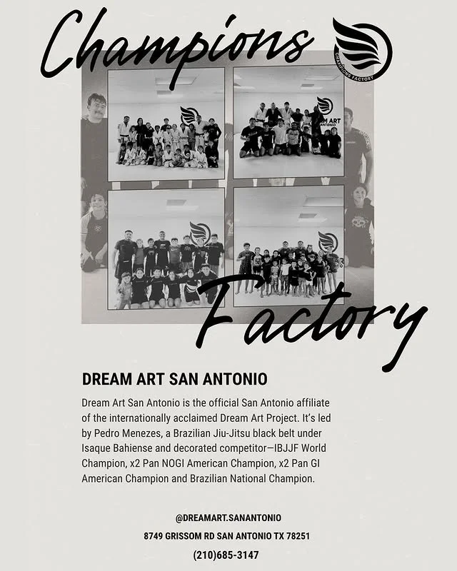 Dream Art Brazilian Jiu Jitsu Academy facility image