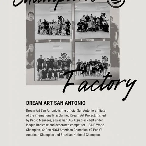 Dream Art Brazilian Jiu Jitsu Academy facility image