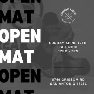 Dream Art Brazilian Jiu Jitsu Academy facility image