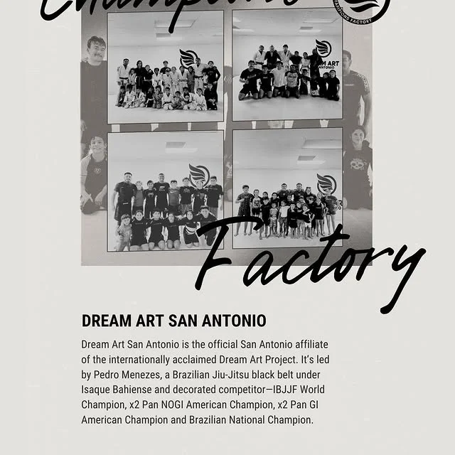 Dream Art Brazilian Jiu Jitsu Academy facility image