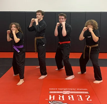 ELITE MARTIAL ARTS facility image