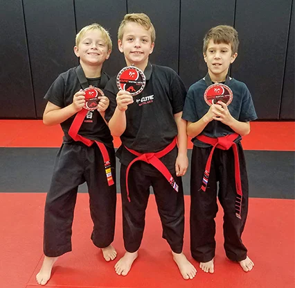 ELITE MARTIAL ARTS facility image