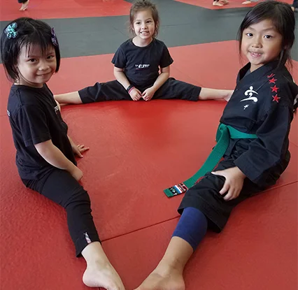 ELITE MARTIAL ARTS facility image