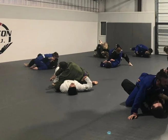 Falcon BJJ Gym visual