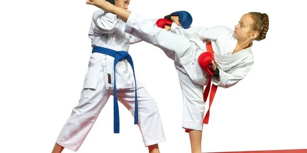 Family Training Center Martial Arts Academy facility image