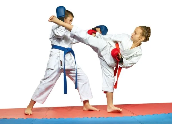 Family Training Center Martial Arts Academy facility image