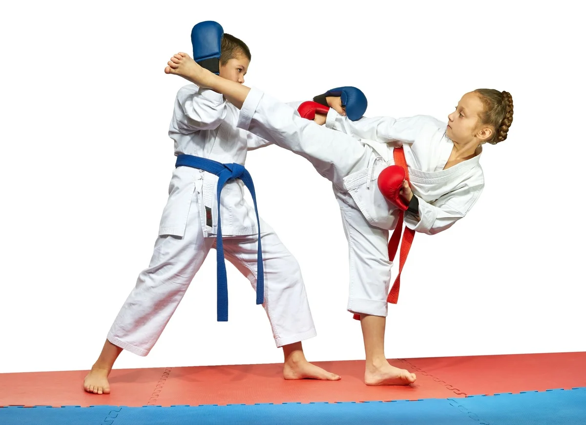 Family Training Center Martial Arts Academy facility image