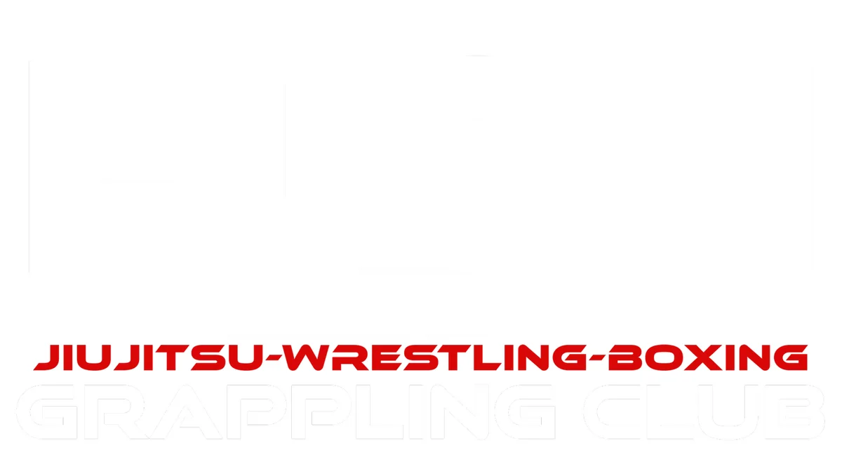 FLOW Grappling Club academy logo
