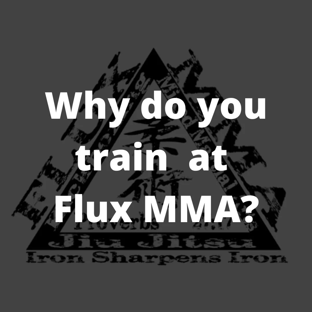 Flux MMA facility image