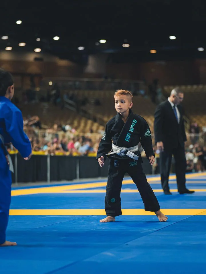 Free World Jiu Jitsu visual