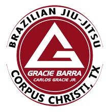 Paragon Brazilian Jiu-Jitsu academy logo