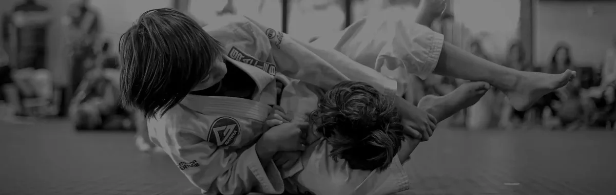 GRACIE BARRA SOUTHLAKE visual