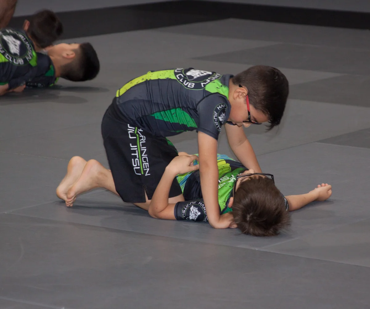 Harlingen Jiu Jitsu Club academy photo