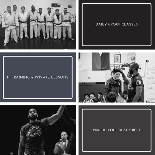 Haven Jiu-Jitsu Academy academy photo