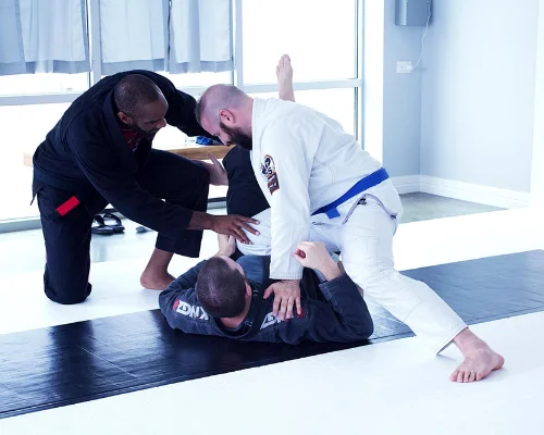 Haven Jiu-Jitsu Academy visual