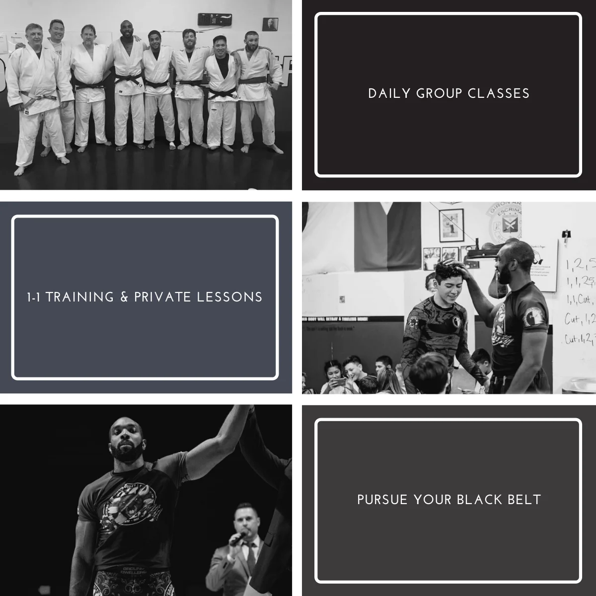 Haven Jiu-Jitsu Academy academy photo