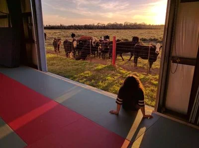 Honor Martial Arts - Brazilian Jiu-Jitsu, Judo, Karate and Yoga facility image