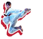 Impact Martial Arts facility image