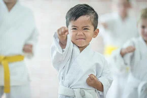 Impact Martial Arts facility image