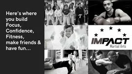 Impact Martial Arts facility image