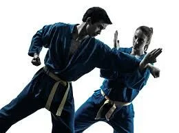 Impact Martial Arts facility image